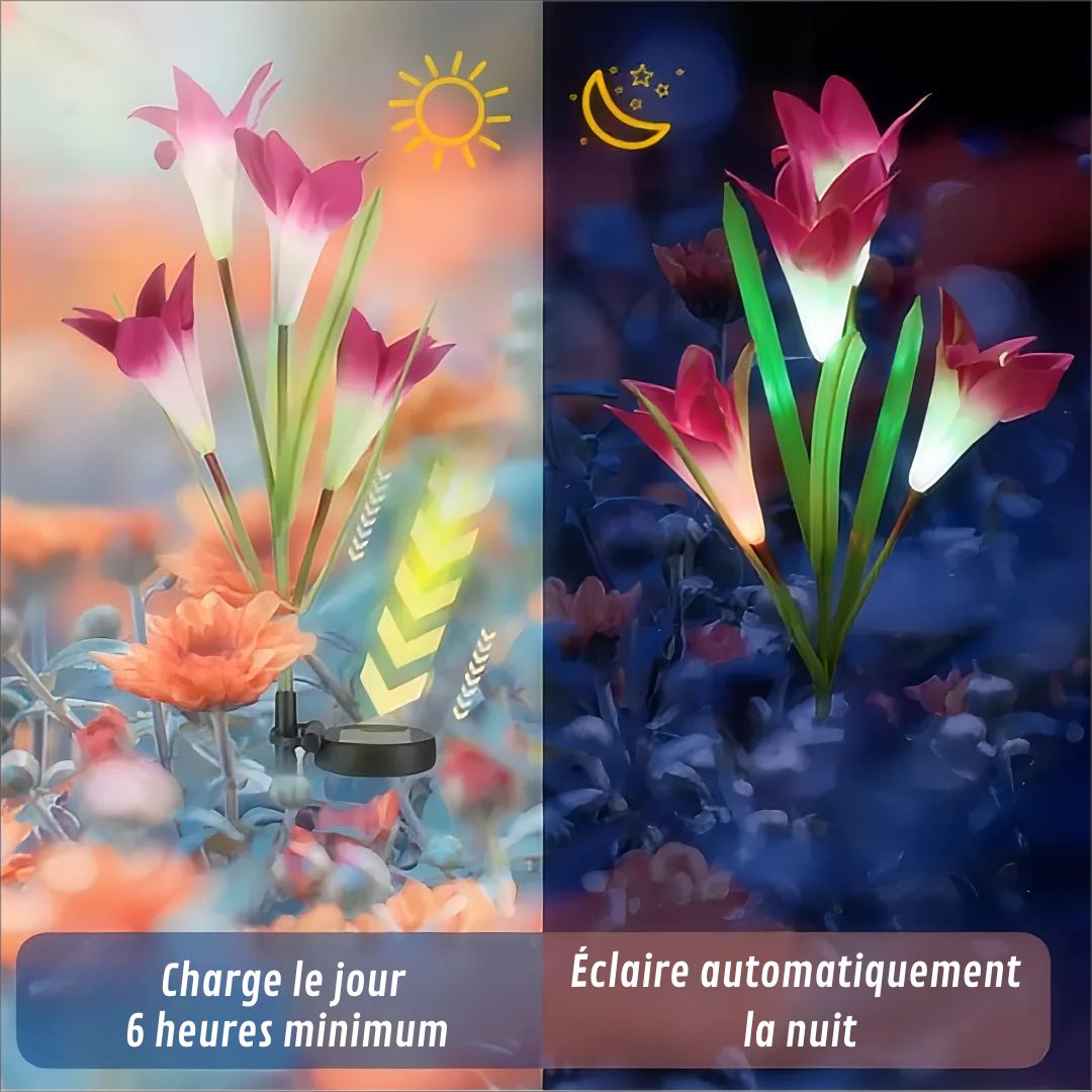 Lys lampe solaire chargement