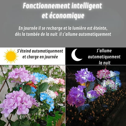 fonctionnement intelligent et économique