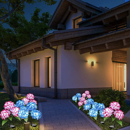 Hortensia lumiere exterieur solaire
