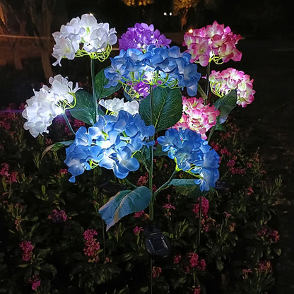 Hortensia solaire extérieur